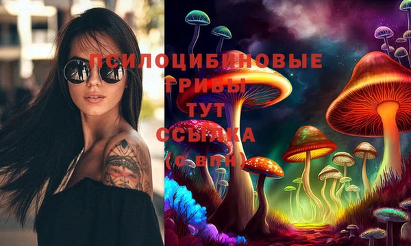 мдпв Арсеньев