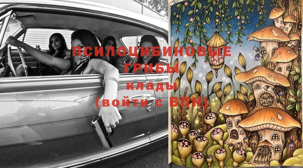 мдпв Арсеньев