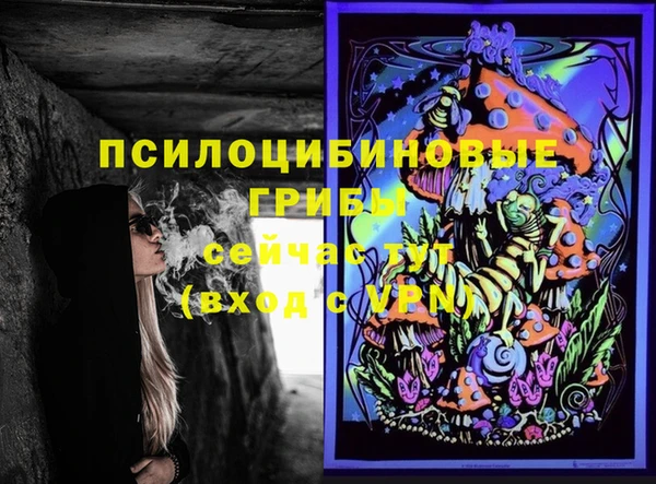 мдпв Арсеньев