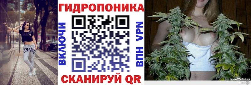 Каннабис конопля Радужный